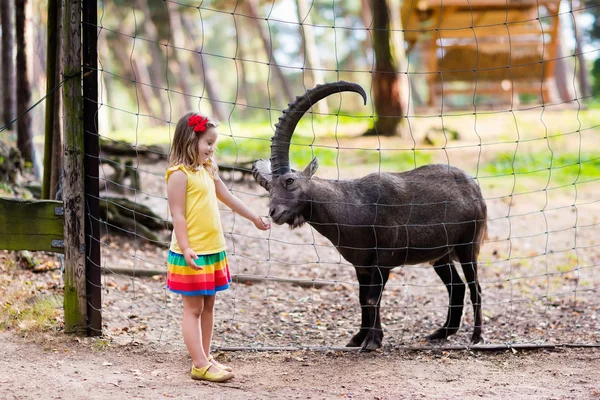 Маленькая девочка кормит дикую козу в зоопарке — стоковое фото