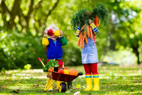 Enfants cueillant des légumes à la ferme biologique — Photo