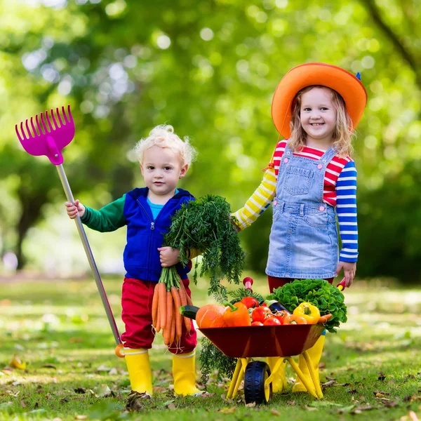 Barnen plocka grönsaker på ekologisk gård — Stockfoto