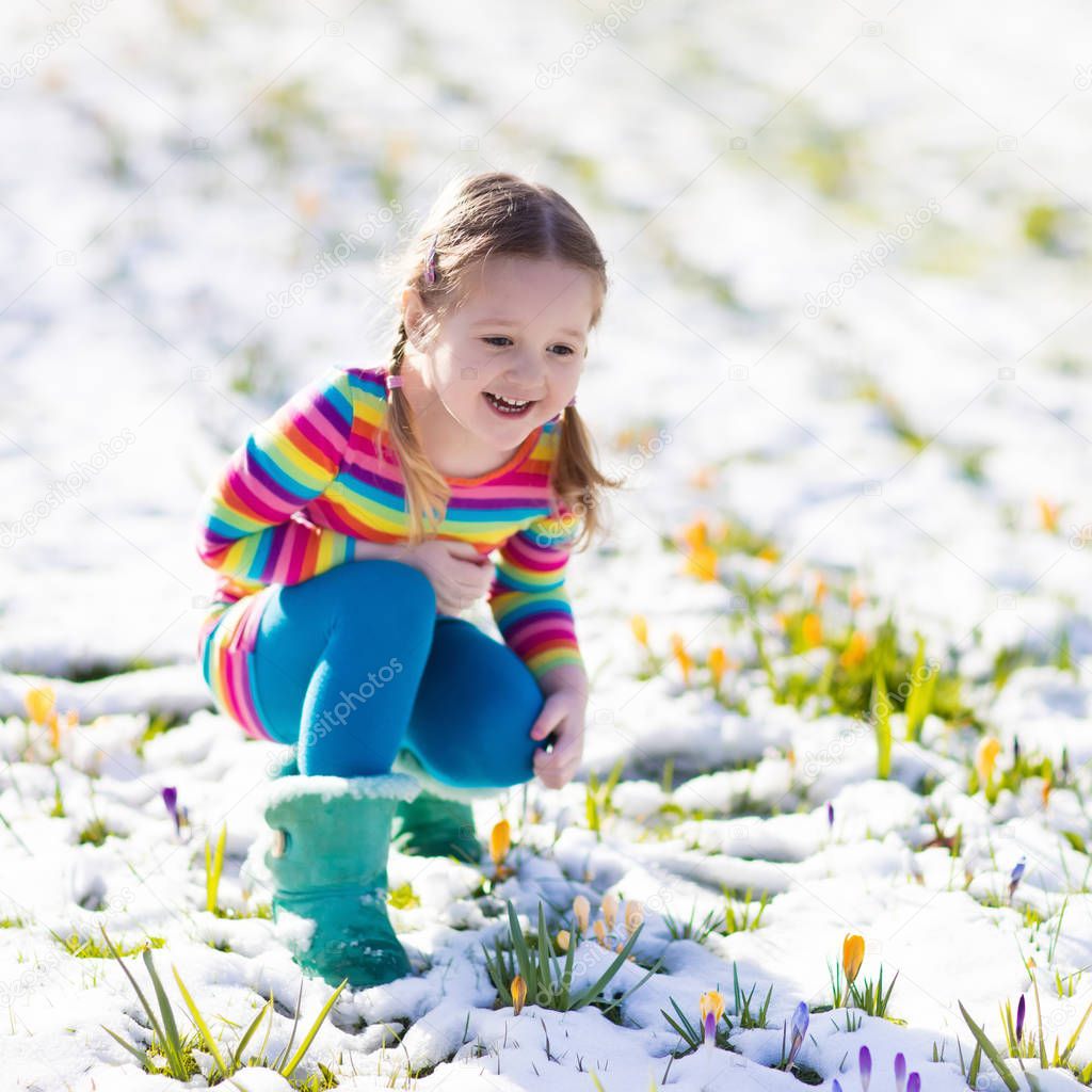 Little girl with crocus flowers under snow in spring
