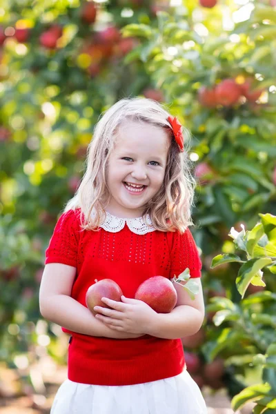 Menina colhendo maçã no jardim de frutas — Fotografia de Stock