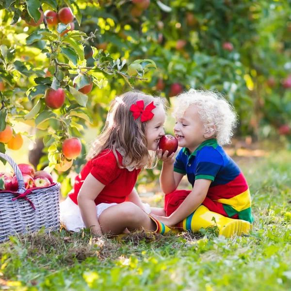 Enfants cueillant des pommes dans un jardin fruitier — Photo