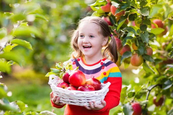 Menina colhendo maçã no jardim de frutas — Fotografia de Stock