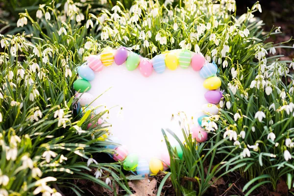 Tableau blanc avec oeufs et fleurs de Pâques — Photo