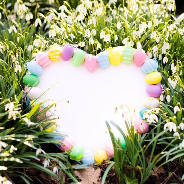 Tableau blanc avec oeufs et fleurs de Pâques — Photo