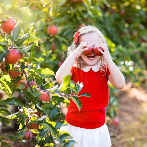 Gadis kecil memetik apel di kebun buah — Stok Foto