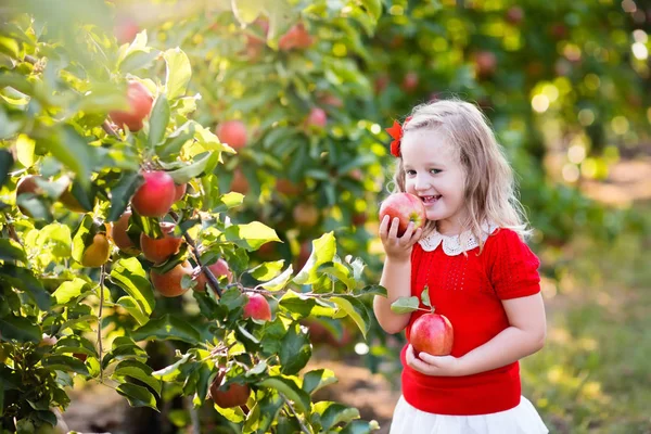 과일 정원에서 어린 소녀 따기 애플 — 스톡 사진