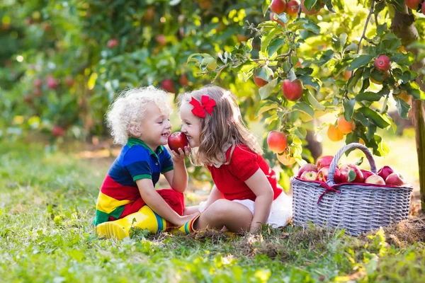 Enfants cueillant des pommes dans un jardin fruitier — Photo