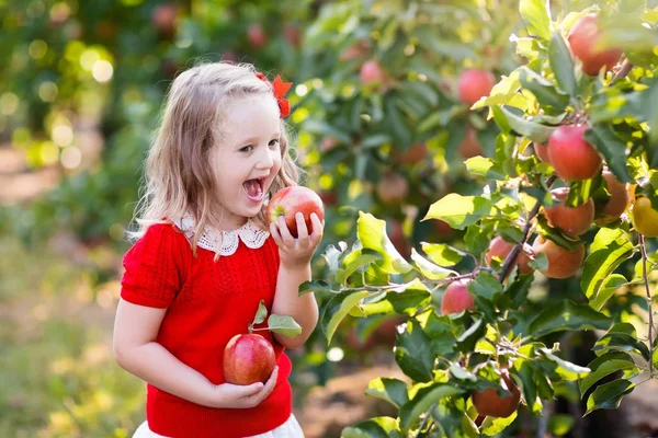 Gadis kecil memetik apel di kebun buah — Stok Foto