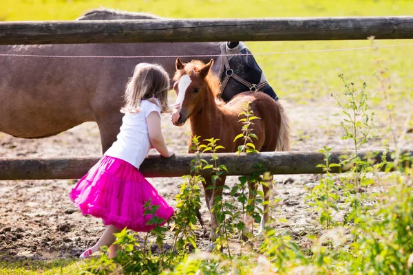 Liten flicka utfodring baby häst på ranch — Stockfoto