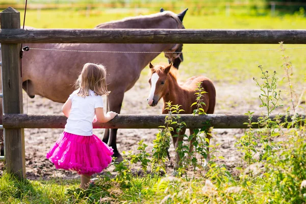 Mała dziewczynka karmienia dziecka konia na ranczo — Zdjęcie stockowe