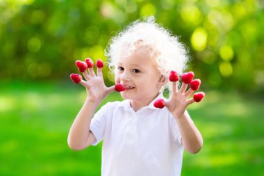 Malzeme çekme ve ahududu yaz aylarında yemek çocuk