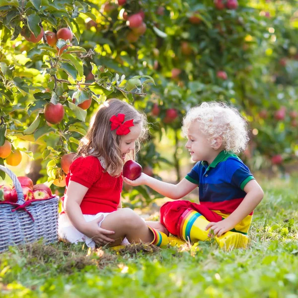 Παιδιά μαζεύοντας μήλα στον κήπο φρούτων — Φωτογραφία Αρχείου