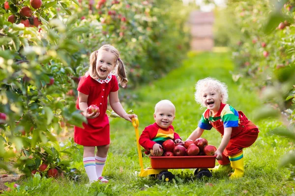 Meyve bahçesinde elma toplama çocuklar — Stok fotoğraf