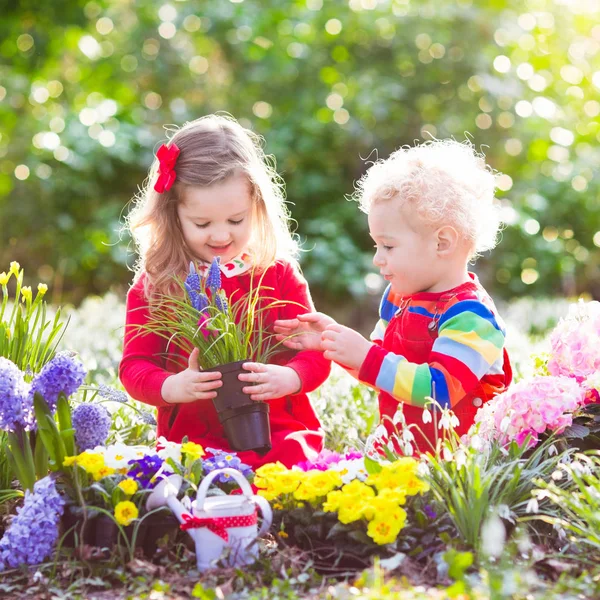 Enfants plantes et fleurs d'eau dans le jardin de printemps — Photo