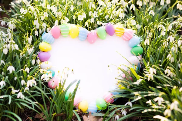 Tableau blanc avec oeufs et fleurs de Pâques — Photo
