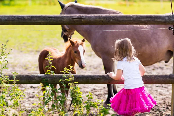Little girl feeding baby horse on ranch — Stock Photo, Image