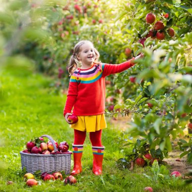 Küçük kız malzeme çekme elma meyve bahçesinde