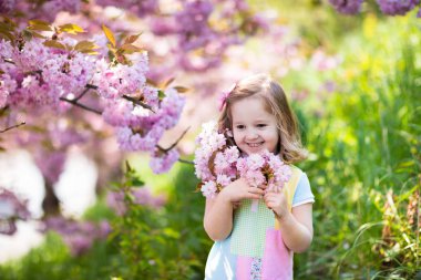 Kiraz çiçeği ile küçük kız