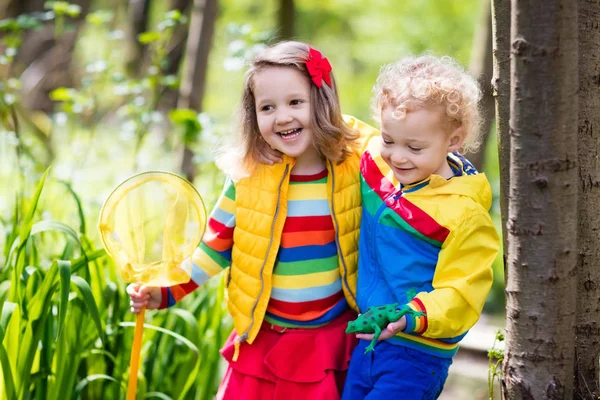 Children playing outdoors catching frog — Stock Photo, Image