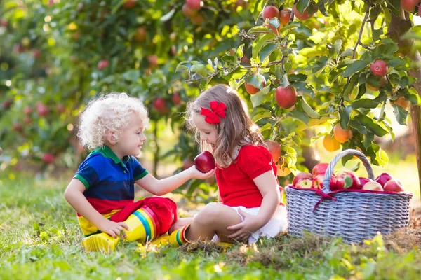 Enfants cueillant des pommes dans un jardin fruitier — Photo