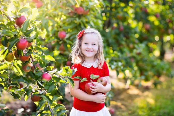 Mała dziewczynka pobrania apple w ogrodzie owoców — Zdjęcie stockowe