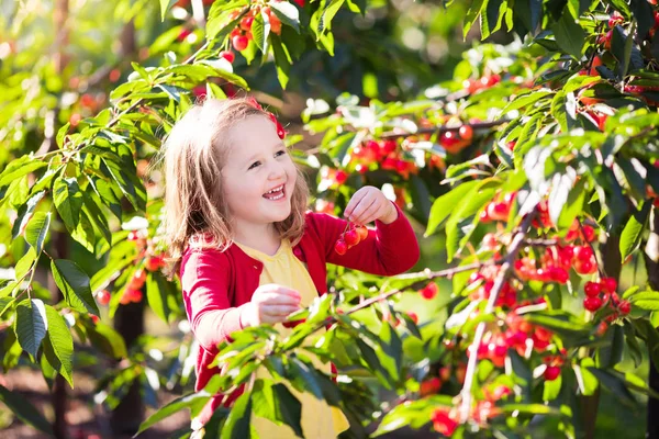 Little girl picking cherry in fruit garden — Stock Photo, Image