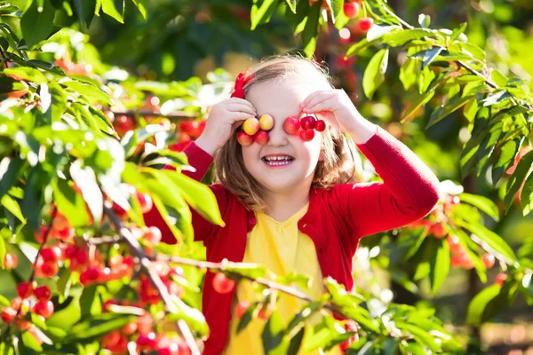 Gadis kecil memetik ceri di kebun buah — Stok Foto