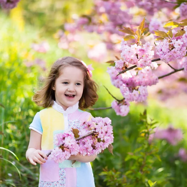 Little girl with cherry blossom — Stock Photo, Image