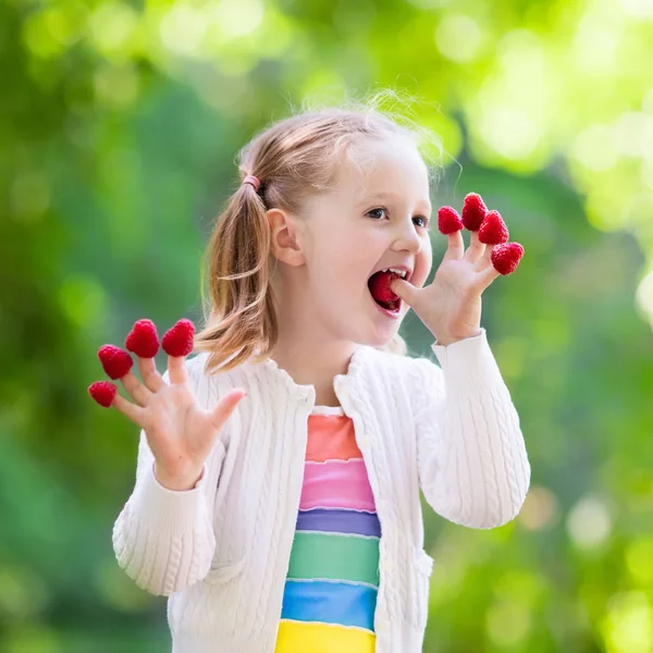 Kind pflückt und isst Himbeere im Sommer — Stockfoto