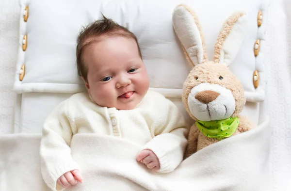 赤ちゃんウサギのおもちゃベッド — ストック写真