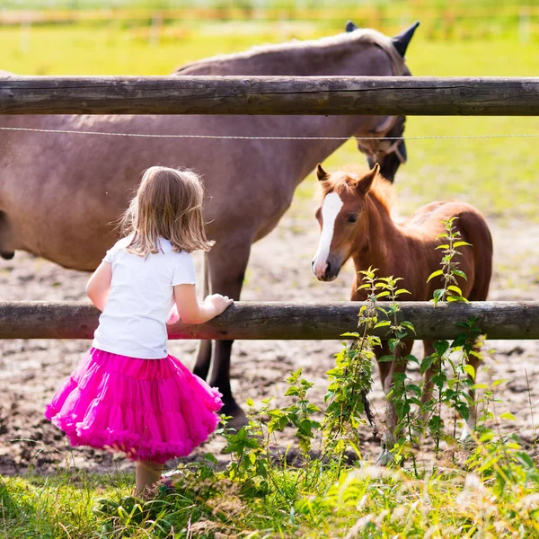 Petite fille nourrissant bébé cheval sur ranch — Photo