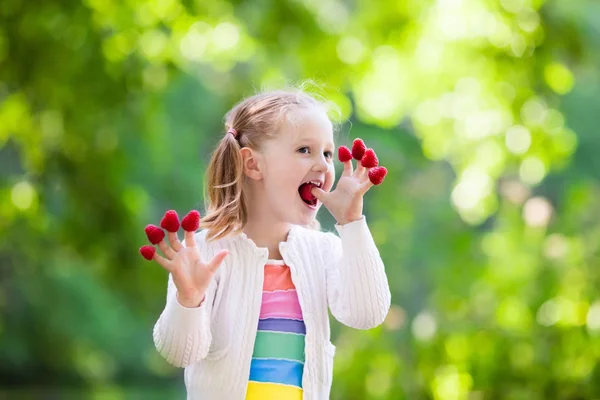 Kind pflückt und isst Himbeere im Sommer — Stockfoto