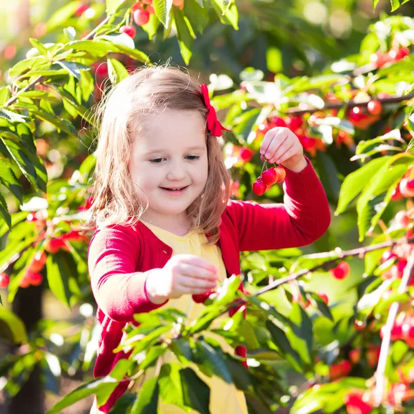 Niña recogiendo cereza en el jardín de frutas — Foto de Stock