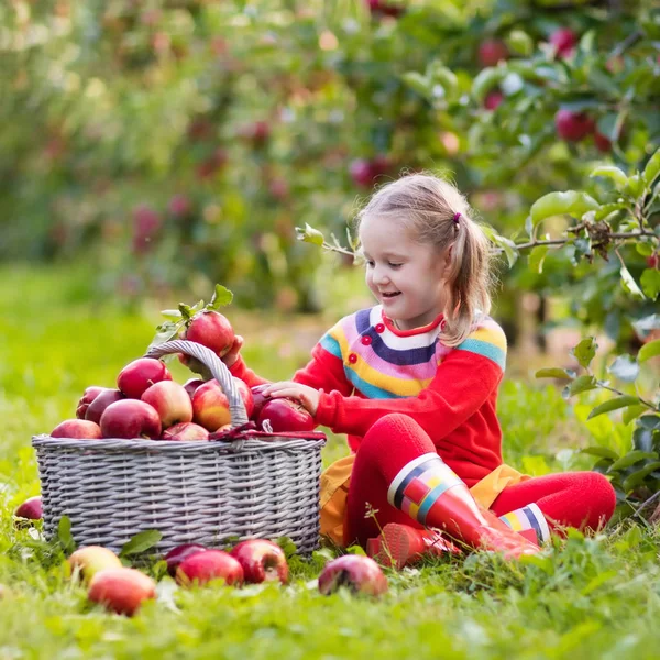 Meisje plukken appel in groente tuin — Stockfoto