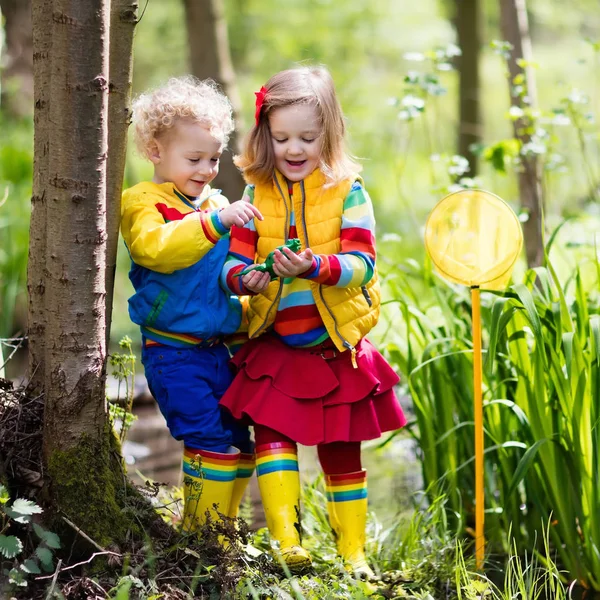 Children playing outdoors catching frog — Stock Photo, Image