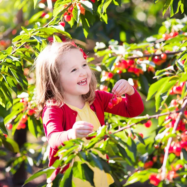 Meisje kersen plukken in groente tuin — Stockfoto