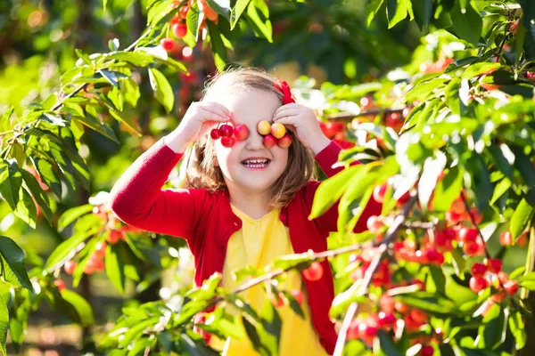 Gadis kecil memetik ceri di kebun buah — Stok Foto