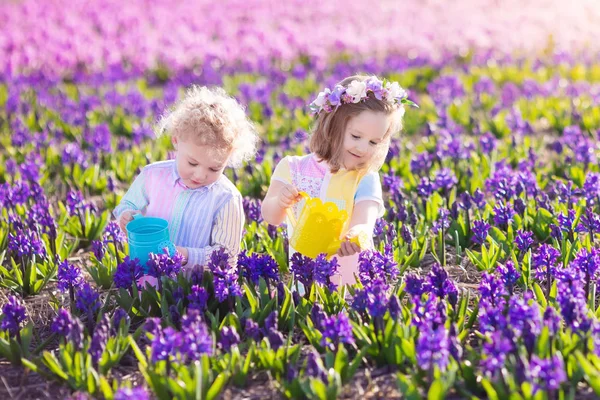 Dzieci kwiaty roślin i wody w spring garden — Zdjęcie stockowe