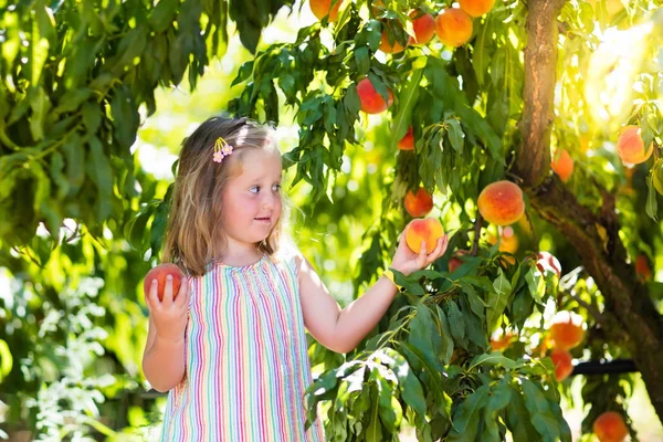 Anak memetik dan makan buah persik dari pohon buah — Stok Foto