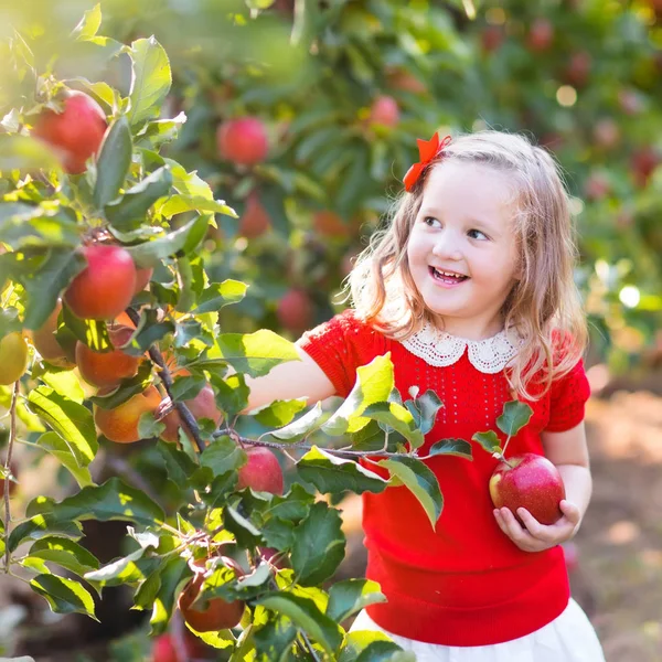 Gadis kecil memetik apel di kebun buah — Stok Foto