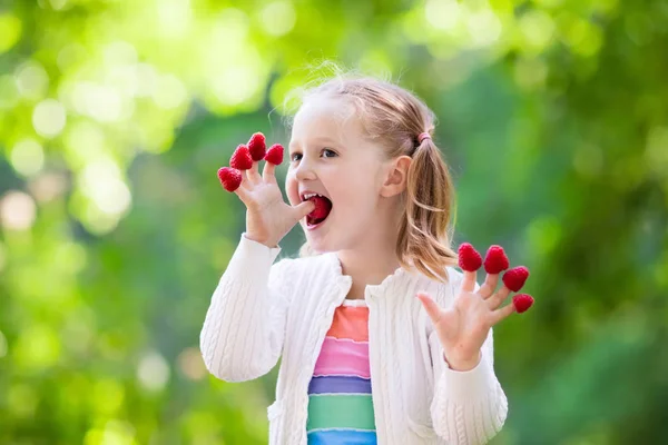 Дитина збирає і їсть малину влітку — стокове фото