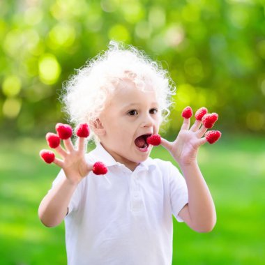 Malzeme çekme ve ahududu yaz aylarında yemek çocuk