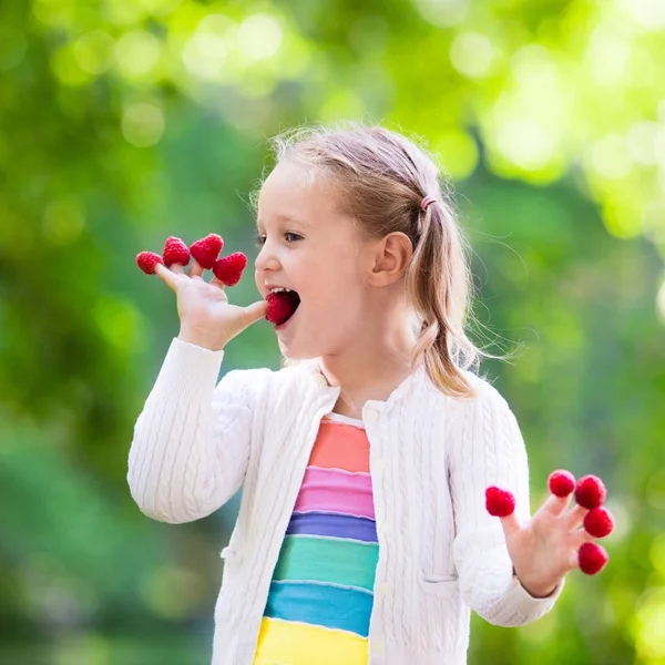 Criança pegar e comer framboesa no verão — Fotografia de Stock