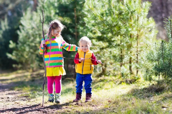 Senderismo para niños en bosque otoñal —  Fotos de Stock