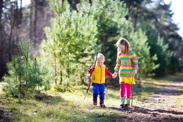 Escursioni per bambini nella foresta autunnale — Foto Stock