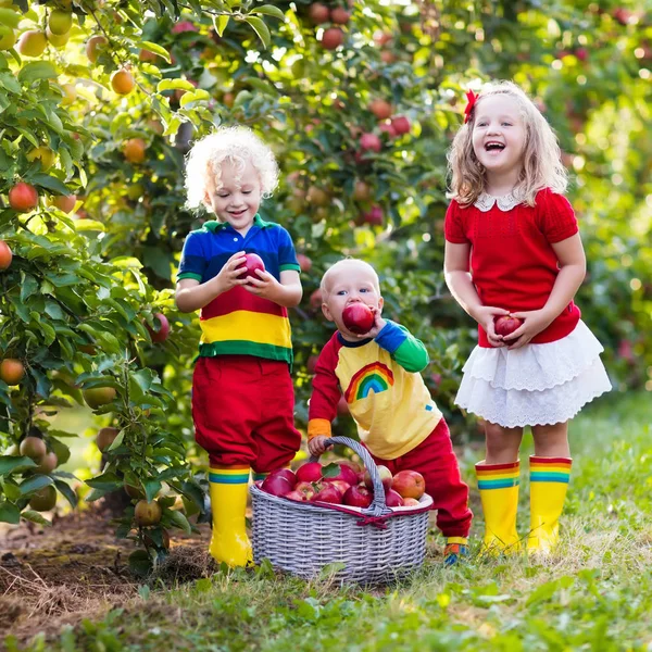 Bambini che raccolgono mele nel giardino della frutta — Foto Stock