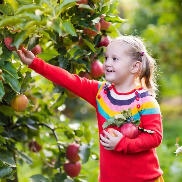 Meisje plukken appel in groente tuin — Stockfoto