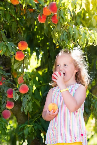 领料和吃桃子从果树上的孩子 — 图库照片