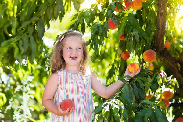 Cueillette des enfants et consommation de pêches dans les arbres fruitiers — Photo